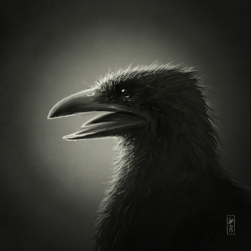 BLACK BIRD WATCHING
