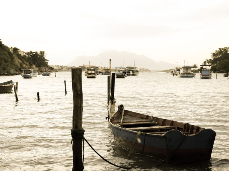 CANOA9682