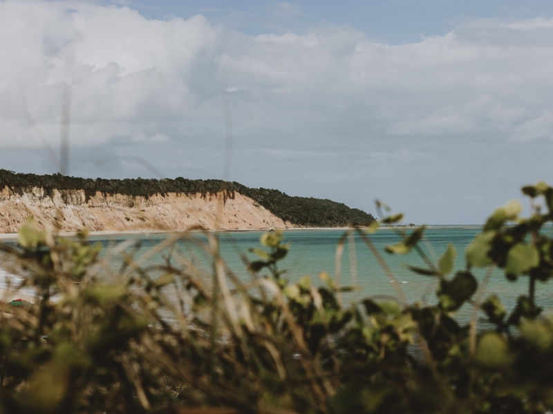 MATO E MAR