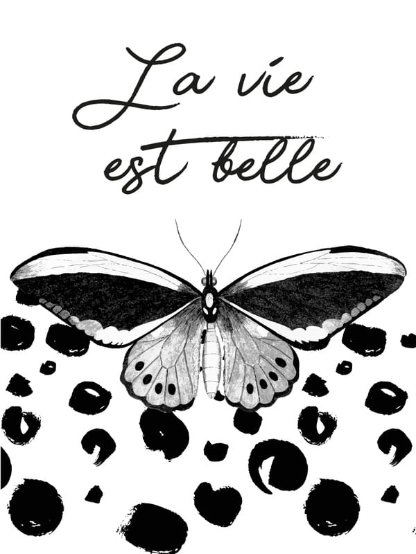 LA VIE EST BELLE MINIMALISTA