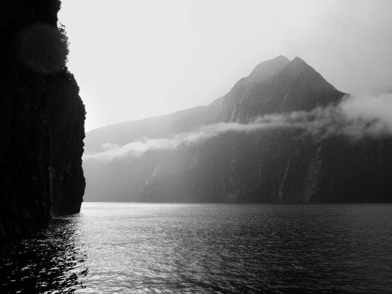 FIORDE MILFORD SOUNDS