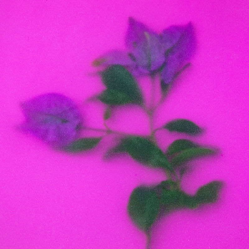 FLOR VERDE E ROSA EM FUNDO ROSA 2 COM EFEITO JATEADO