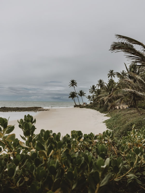 GREEN BEACH