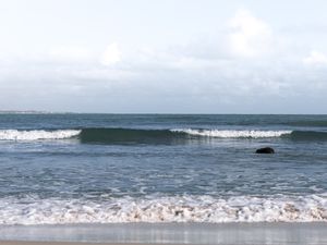 SEA DREAMS