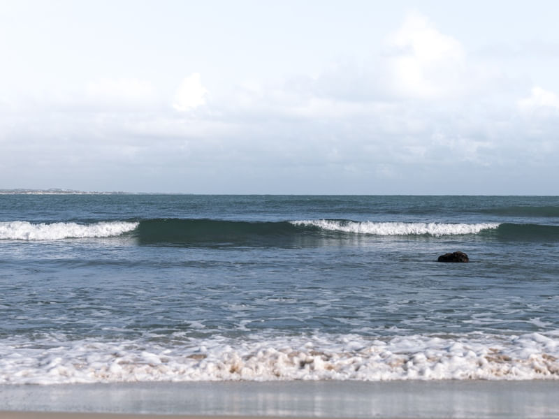SEA DREAMS
