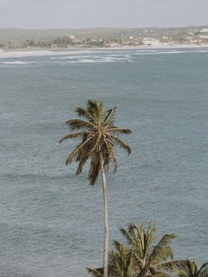 DO ALTO DO MORRO DAS DUNAS