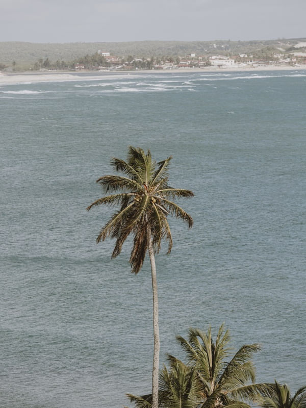 DO ALTO DO MORRO DAS DUNAS