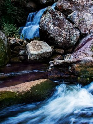 FRADES3
