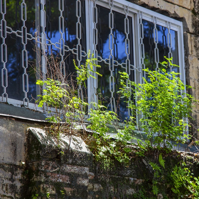 JANELA COM REFLEXO 3
