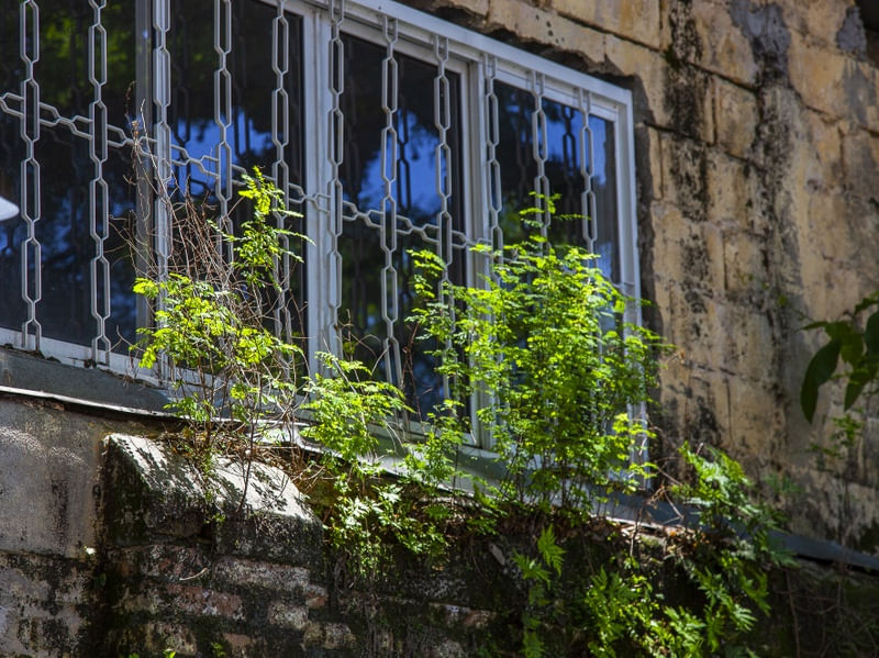 JANELA COM REFLEXO 4