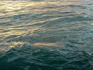 OCEAN WATER
