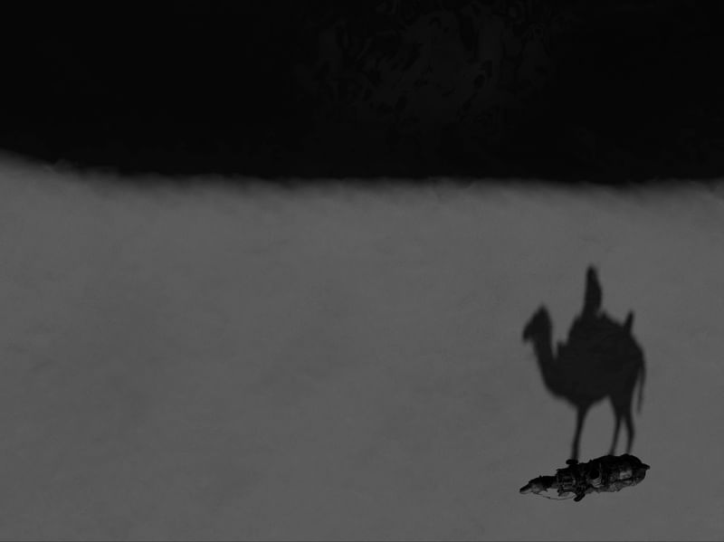 ILUSÃO NO DESERTO