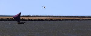 UM BARCO A VELA, UMA FADA ENCANTADA