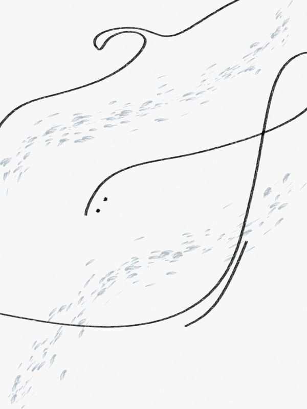 OCEANO ABSTRATO