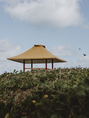 PROTEÇÃO DE PRAIA