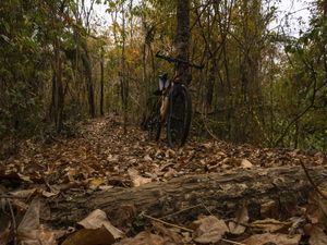 TRILHAS MTB MARANGUAPE_CE