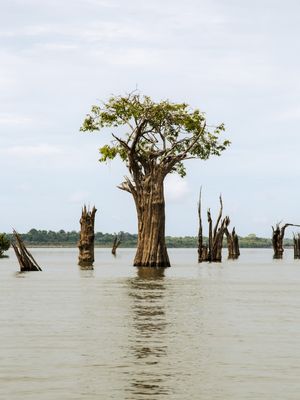 SOLITÁRIA, RESISTINDO
