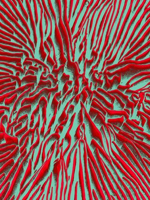 RED RELIEF 2