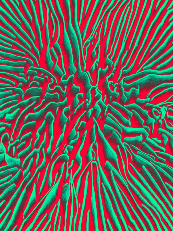 GREEN RELIEF