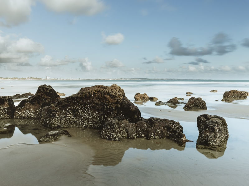 THE BEACH STONES