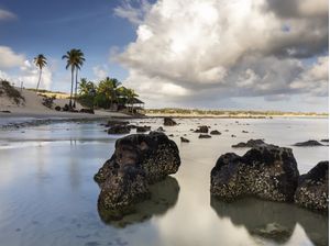 REFLEXOS DE PEDRAS