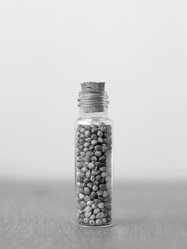ELIXIR