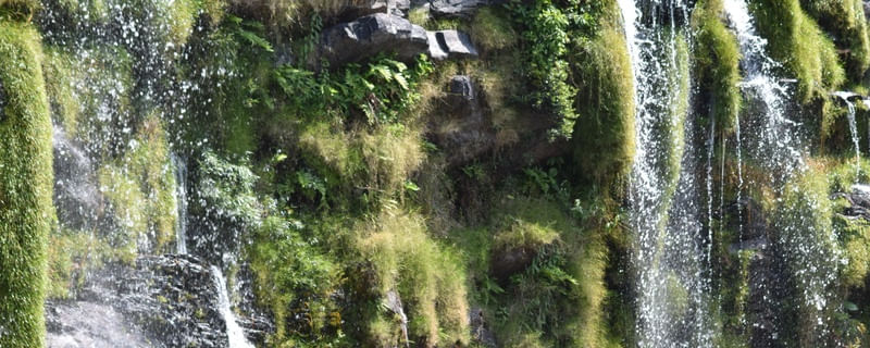 CACHOEIRA CV 1