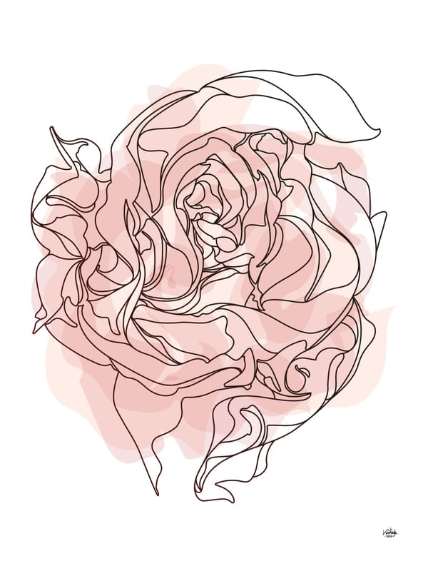 ROSENTA I