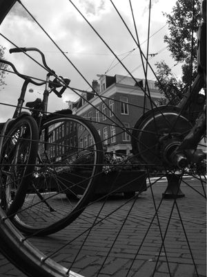 50 TONS DE BICICLETAS EM AMSTERDAM