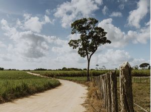 A ESTRADA QUE ESCOLHI