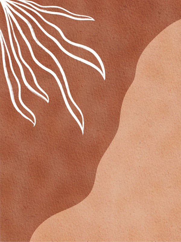 TERRA II
