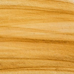 TEXTURA TRANSVERSA