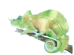 CAMALEÃO EM AQUARELA