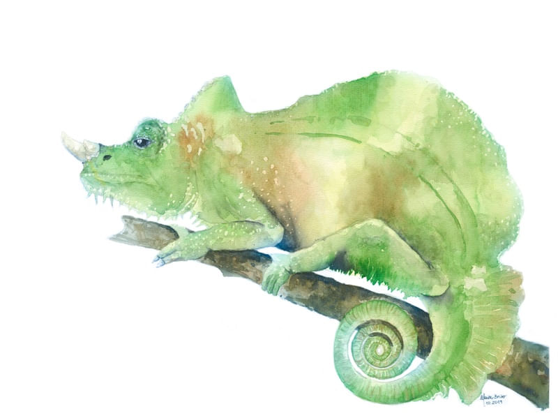CAMALEÃO EM AQUARELA