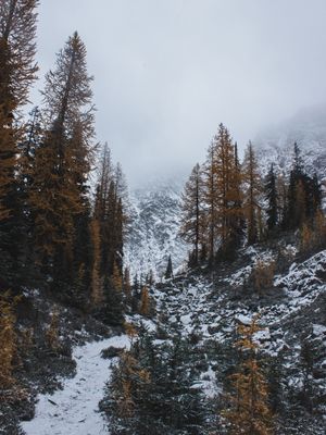WINTER WONDERLAND - WASHINGTON STATE/USA