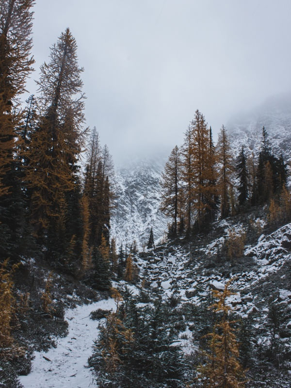 WINTER WONDERLAND - WASHINGTON STATE/USA