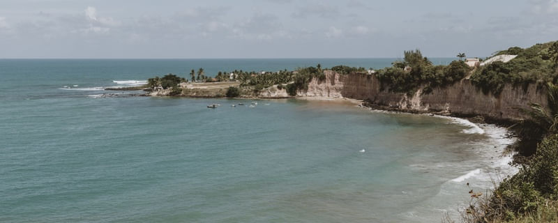 A BAIA DOS GOLFINHOS