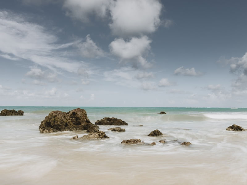 A DANÇA DO MAR