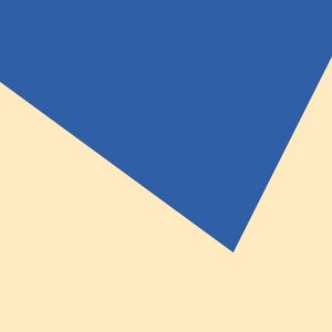 RASGO TRIANGULAR