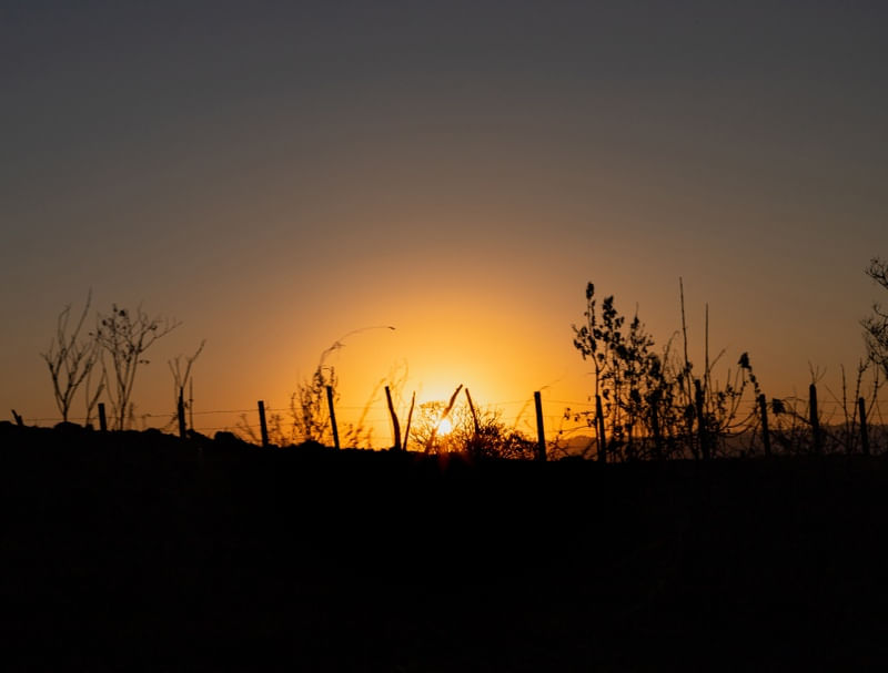 HORIZONTE DA ESTRADA