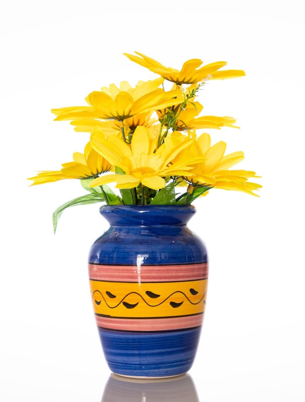 GIRA VASO
