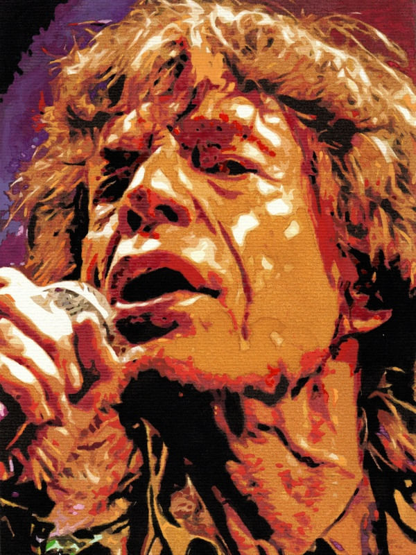 MICK JAGGER POR ROBERTO BRAGA