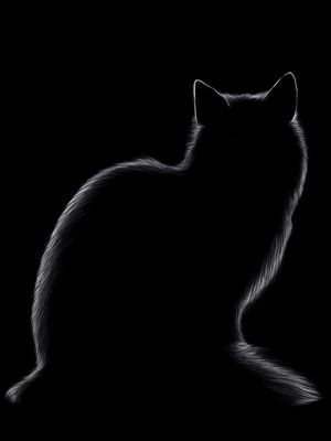 GATTOU