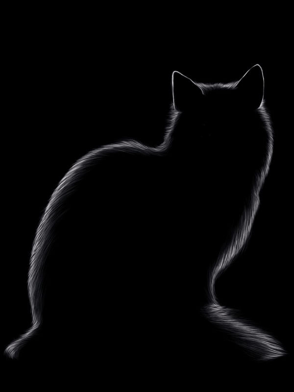 GATTOU