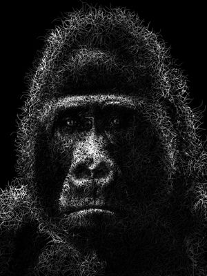 ART WORK - MONKEY FACE