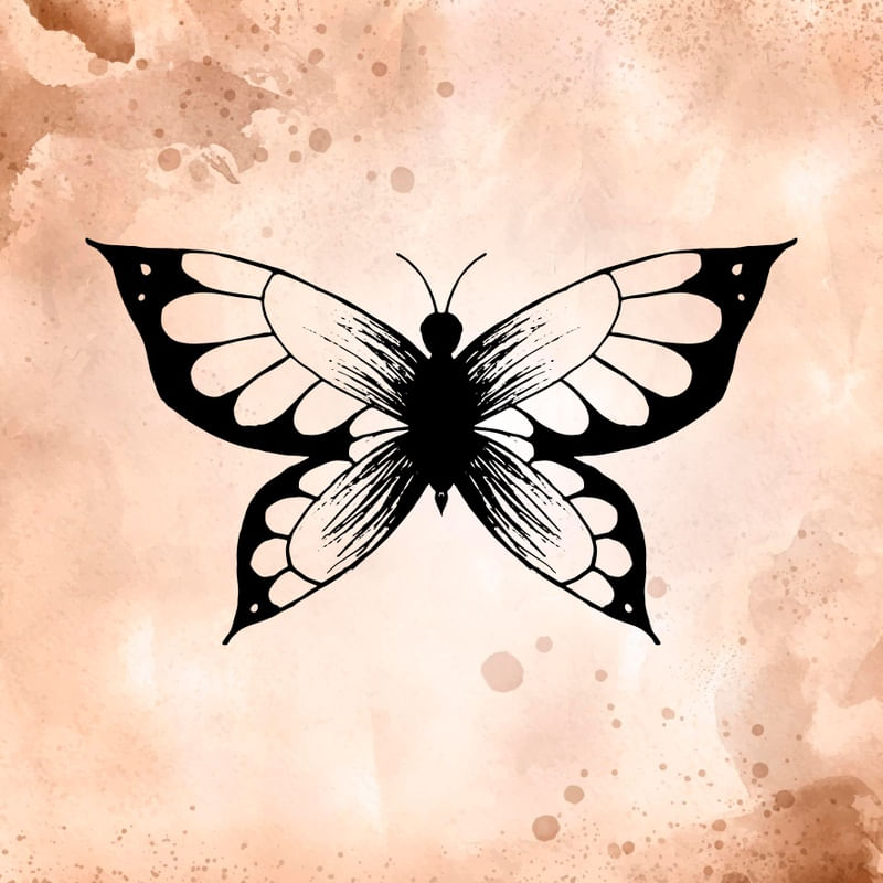 BORBOLETA DELICADA