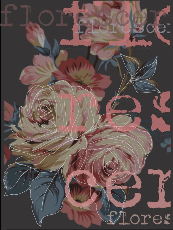 ROSA FLORESCER