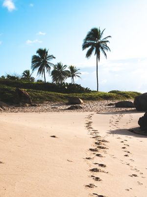 CAMINHO NA AREIA