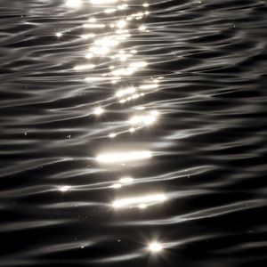 BLACK SEA 1