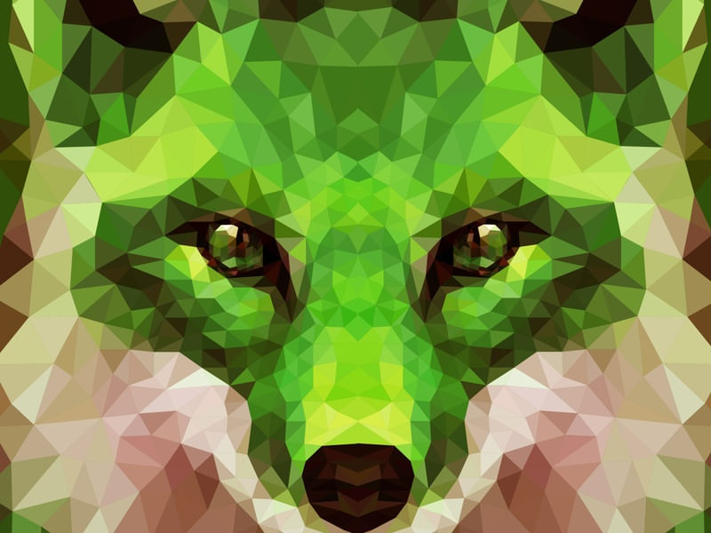 OLHOS DE RAPOZA VERDE
